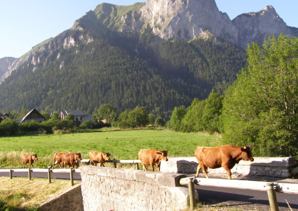 Ferme de la Jarjatte